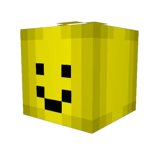 Rosendaron Minecraft avatar head, 3D render