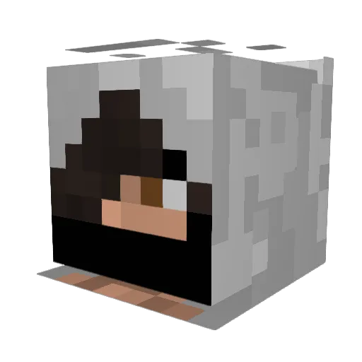 Roseris Minecraft avatar head, 3D render