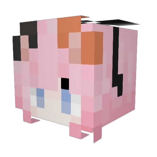 Roses4S8N Minecraft avatar head, 3D render