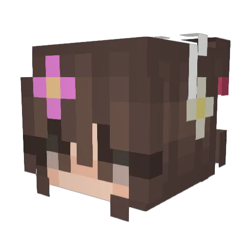 RosesBurning Minecraft avatar head, 3D render