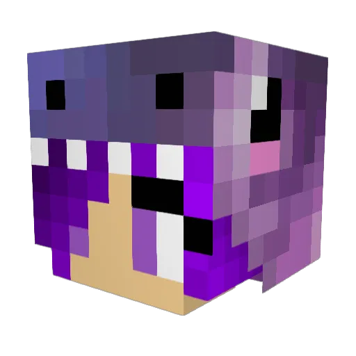 RosesNKittens Minecraft avatar head, 3D render
