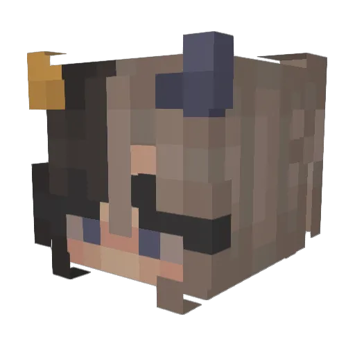 RosesWereWilting Minecraft avatar head, 3D render