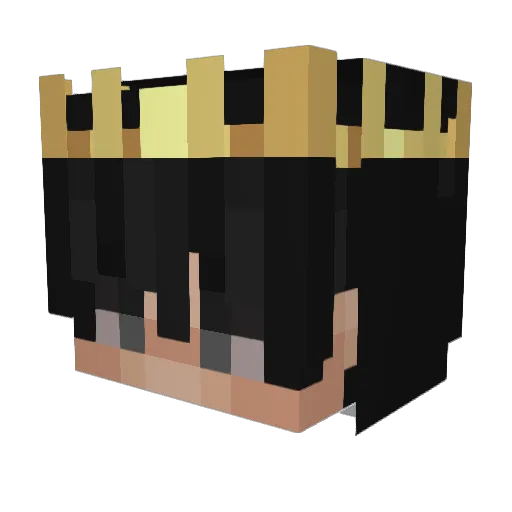 Roses_Dragon19 Minecraft avatar head, 3D render