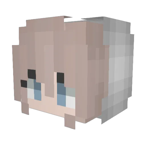 Rosete Minecraft avatar head, 3D render