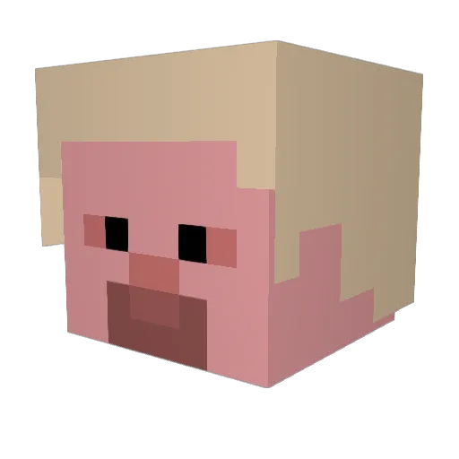 Rosetuk Minecraft avatar head, 3D render