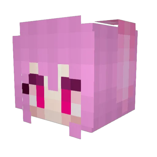 Rosexbel Minecraft avatar head, 3D render