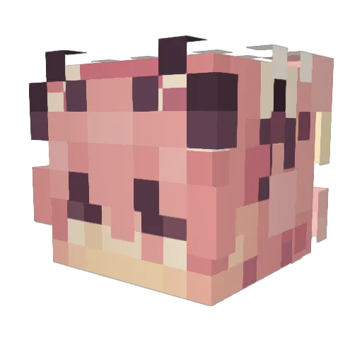 RoseyGarden Minecraft avatar head, 3D render