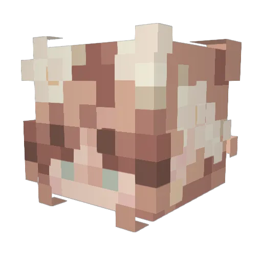Roseydream2 Minecraft avatar head, 3D render