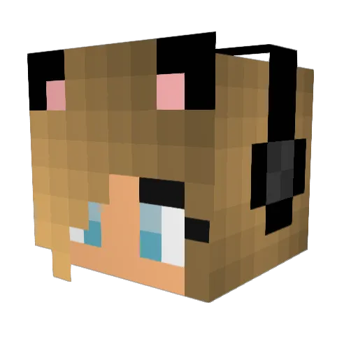 RoseyyMC Minecraft avatar head, 3D render