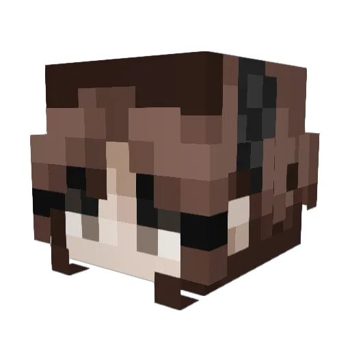 Rosh2n Minecraft avatar head, 3D render