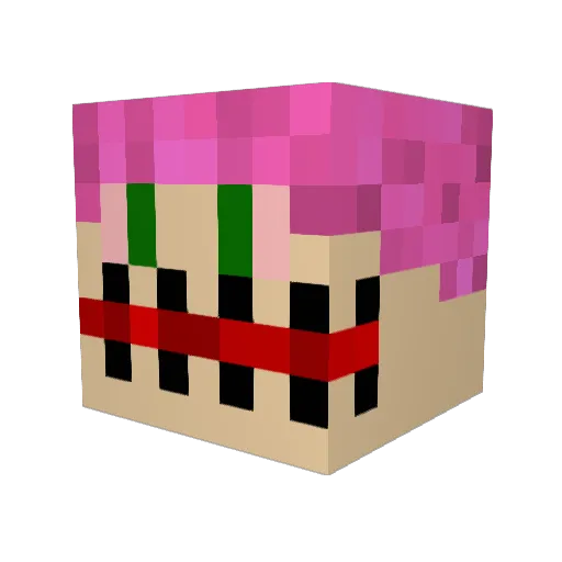 Rosh3n Minecraft avatar head, 3D render