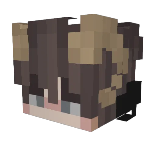 RoshaShay Minecraft avatar head, 3D render