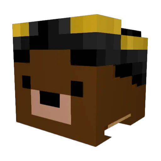 Roshi_Kun Minecraft avatar head, 3D render