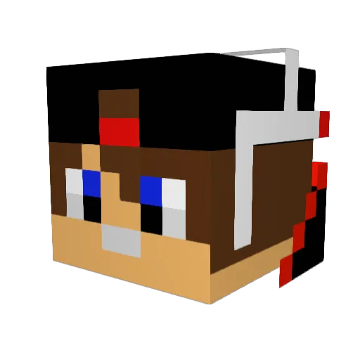 Rosicky14 Minecraft avatar head, 3D render