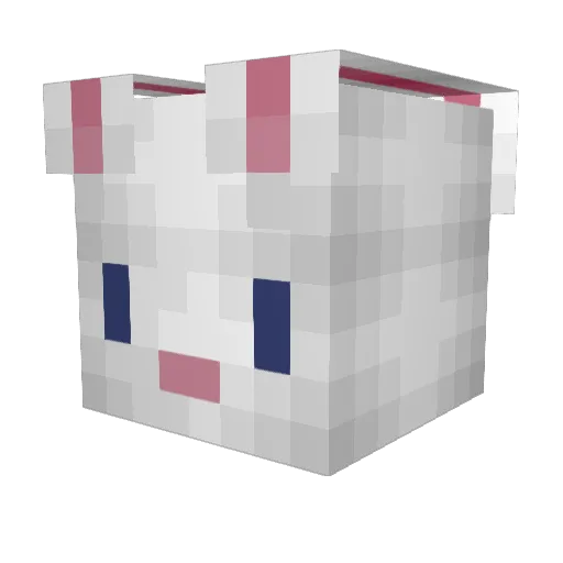 Rosie25 Minecraft avatar head, 3D render