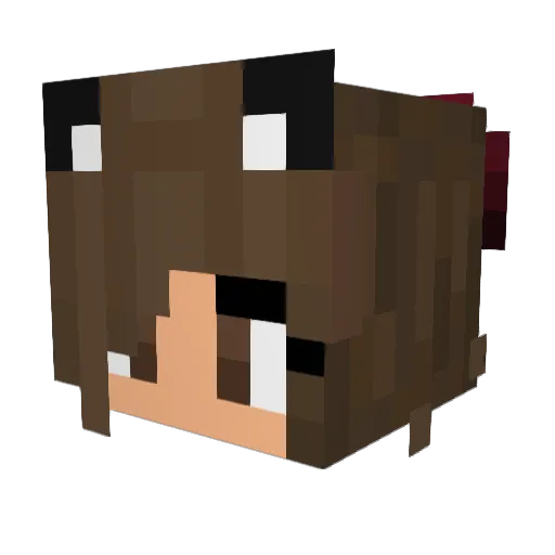 RosieBugPug Minecraft avatar head, 3D render