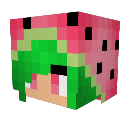 RosieCrafter Minecraft avatar head, 3D render