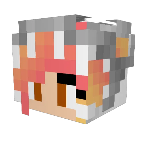 Rosified_Evan Minecraft avatar head, 3D render
