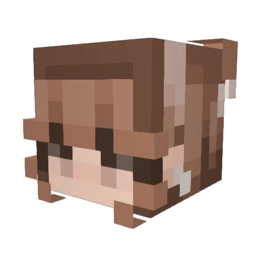 Rosimarigold Minecraft avatar head, 3D render