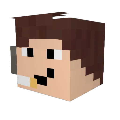 Roska_ Minecraft avatar head, 3D render