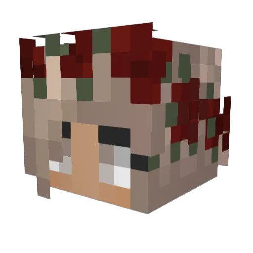 Rosmin06 Minecraft avatar head, 3D render