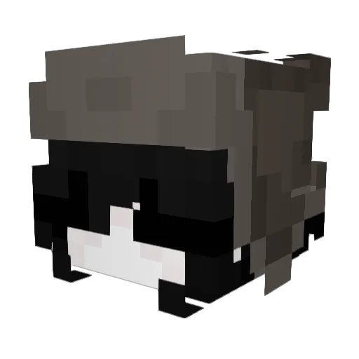 Rosnixx Minecraft avatar head, 3D render
