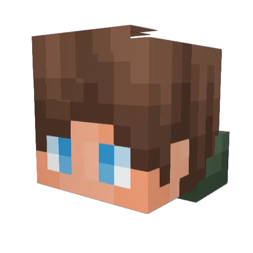 Ross250 Minecraft avatar head, 3D render