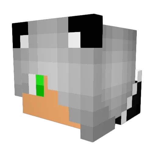 Ross6920 Minecraft avatar head, 3D render