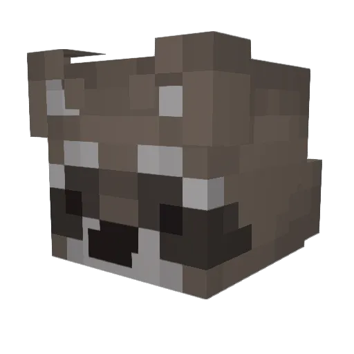RossRac Minecraft avatar head, 3D render