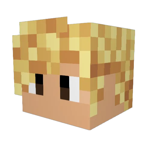 Ross_Lynch Minecraft avatar head, 3D render