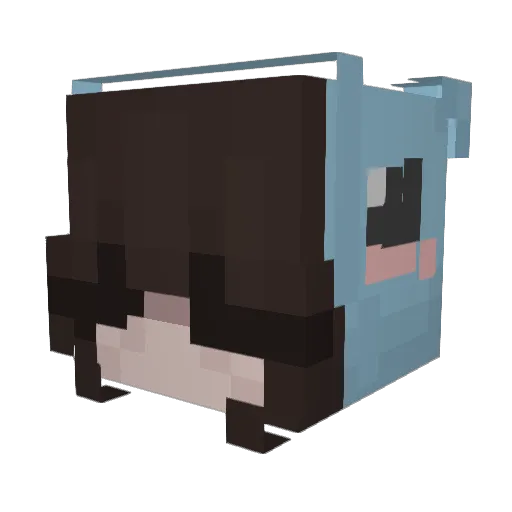 Rossi6607 Minecraft avatar head, 3D render