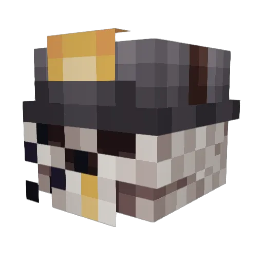 Rossia76 Minecraft avatar head, 3D render