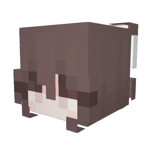 Rossipig Minecraft avatar head, 3D render
