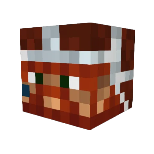 RossyPL Minecraft avatar head, 3D render