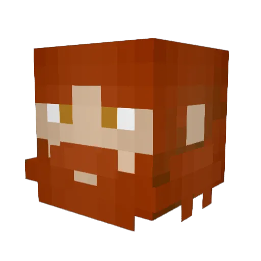 Rostertoster Minecraft avatar head, 3D render