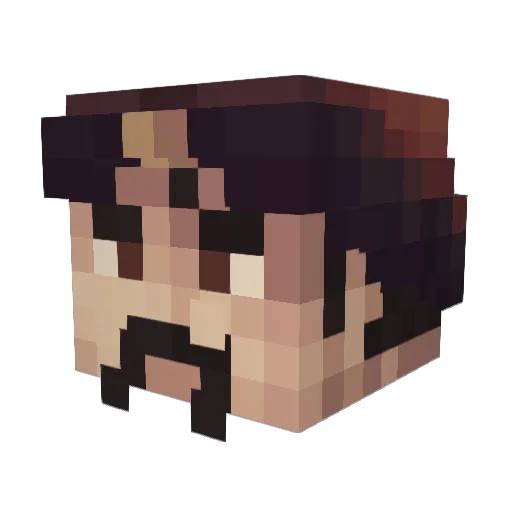 Rosue Minecraft avatar head, 3D render