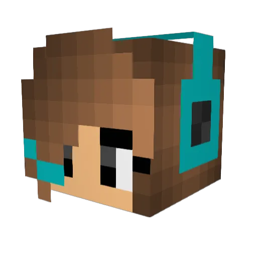 Rosx2017X Minecraft avatar head, 3D render