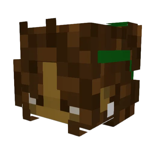 RosyRey Minecraft avatar head, 3D render