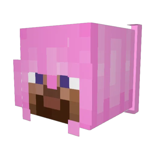 Rotax454 Minecraft avatar head, 3D render