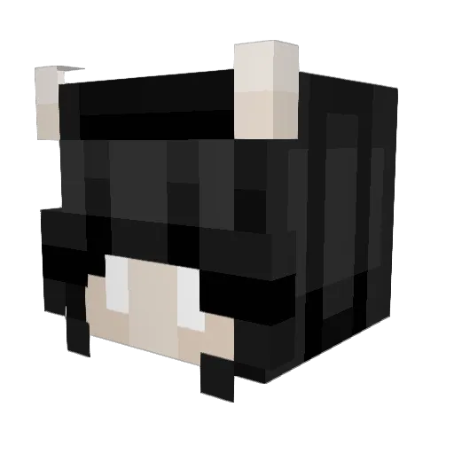 Rotherau Minecraft avatar head, 3D render