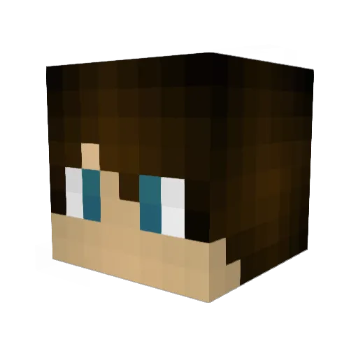 Rotkop456 Minecraft avatar head, 3D render