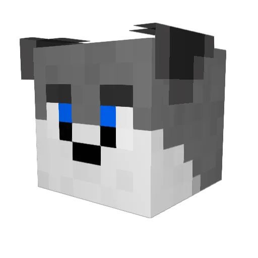 Rotlerxd Minecraft avatar head, 3D render