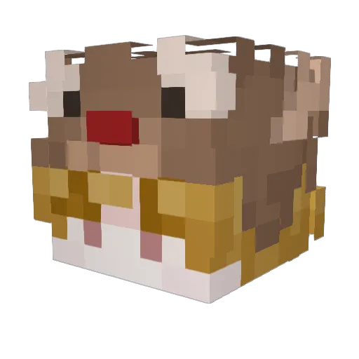 Rotmare Minecraft avatar head, 3D render