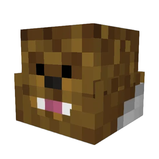 Rotnob Minecraft avatar head, 3D render