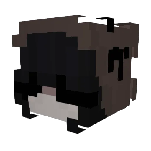 Rotor Minecraft avatar head, 3D render