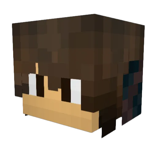 RotorWash Minecraft avatar head, 3D render