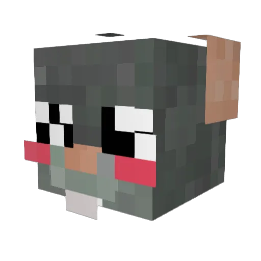 Rottapojke Minecraft avatar head, 3D render