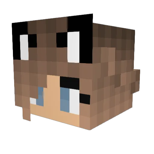 Rotten123 Minecraft avatar head, 3D render