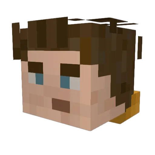 RottenPotter Minecraft avatar head, 3D render
