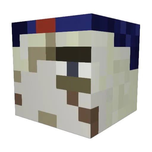 RottenPuppy Minecraft avatar head, 3D render